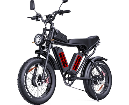 Electric Fat Bike for rent Iasi