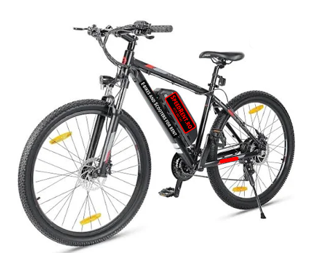 Electric bike for rent Iasi
